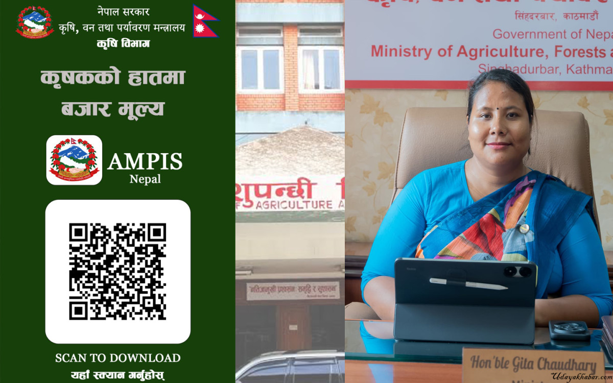 ‘एएमपिआइएस नेपाल’ मोबाइल एप सञ्चालनमा, १२ संघीय कृषि बजारको दैनिक थोक मूल्य अब मोबाइलमै
